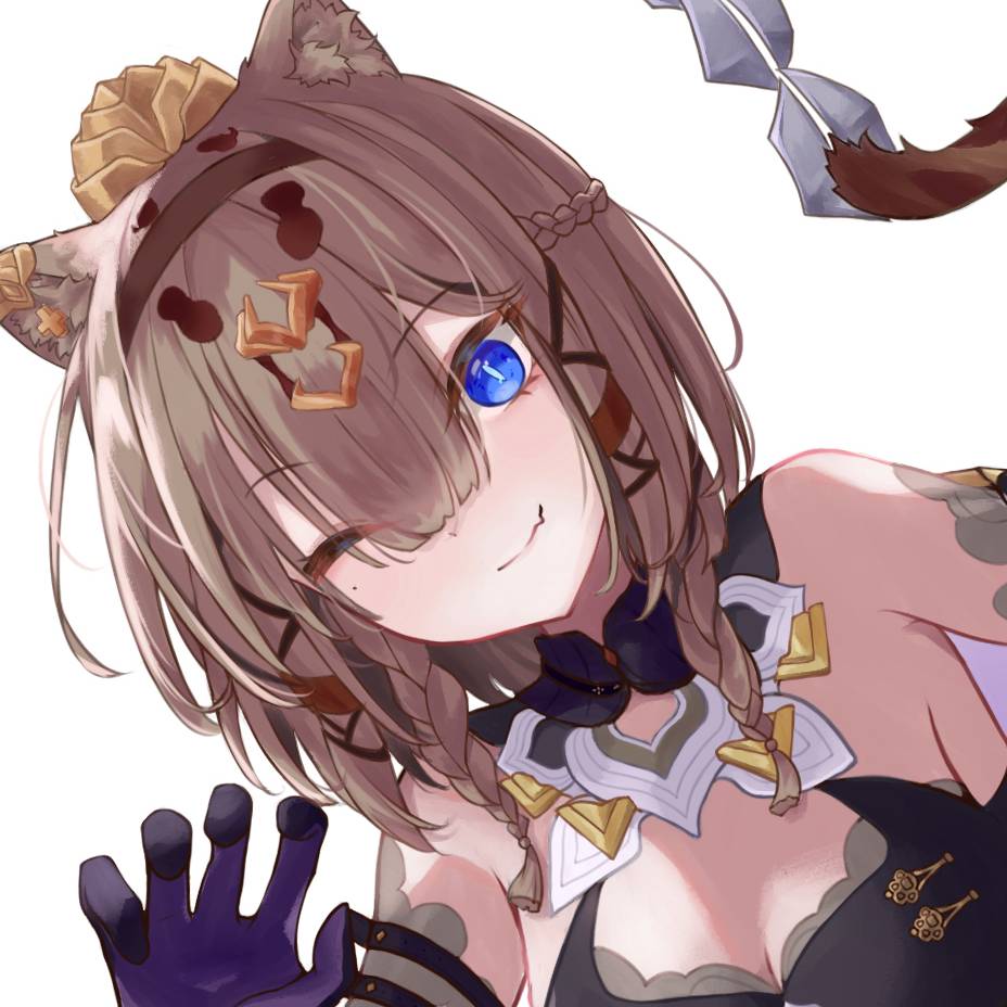 パルドフェリス